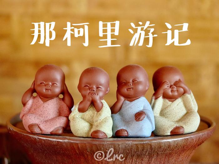 普洱那柯里游记